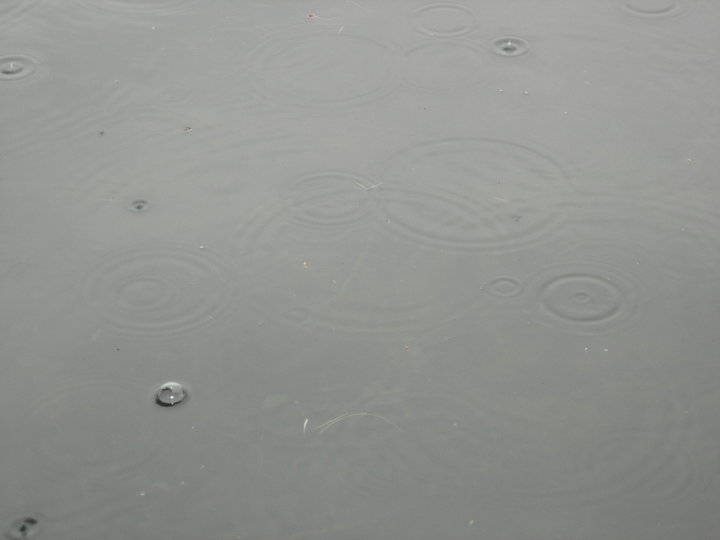 Rain on the lake